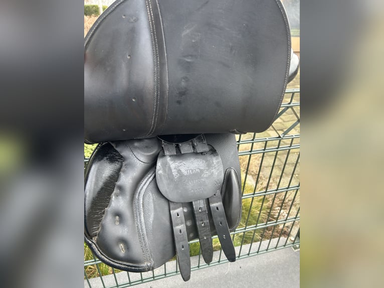 Seabis Utah Springsattel 