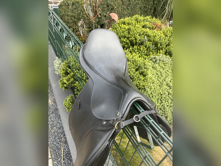 Seabis Utah Springsattel 