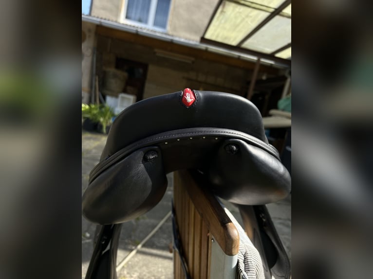 Selleria Equipe Springsattel Modell Grand Prix wie neu !