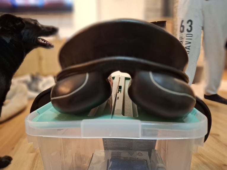 Sommer Diplomat 16,5" kurz Pony schwarz weiß 