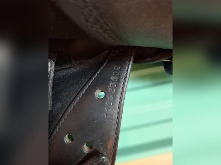 Sommer Diplomat 16,5" kurz Pony schwarz weiß 