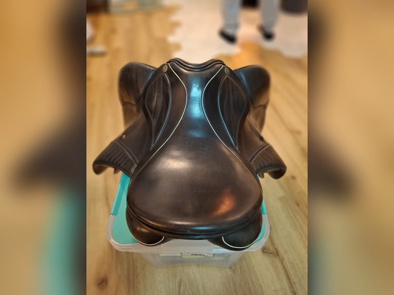 Sommer Diplomat 16,5" kurz Pony schwarz weiß 