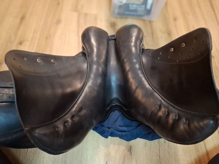 Sommer Diplomat 16,5" kurz Pony schwarz weiß 