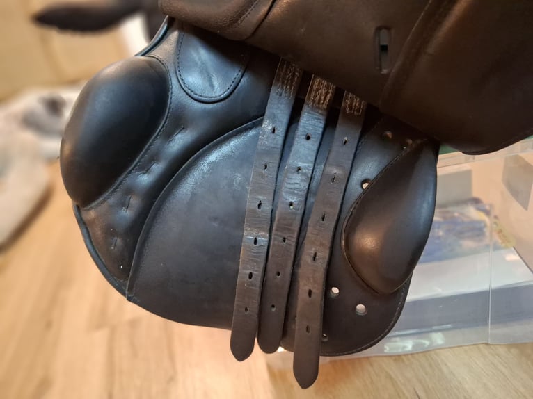 Sommer Diplomat 16,5" kurz Pony schwarz weiß 