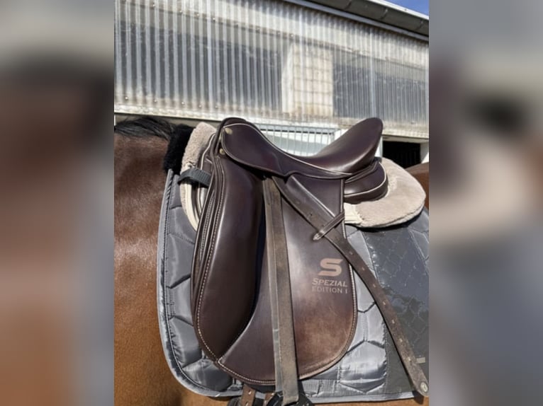 Sommer Dressursattel🐎