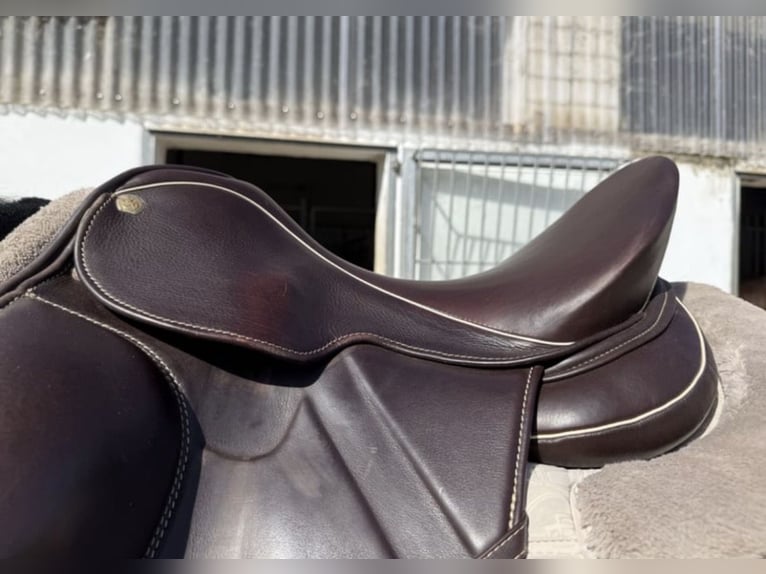 Sommer Dressursattel🐎