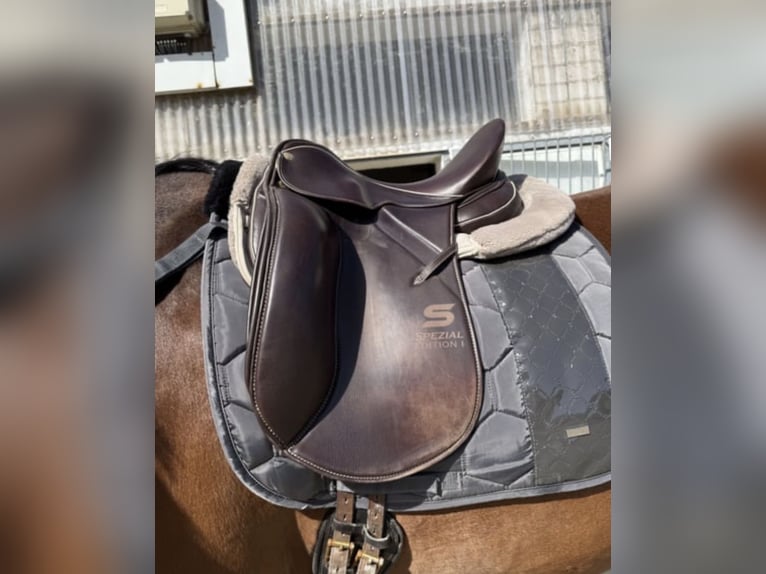 Sommer Dressursattel🐎