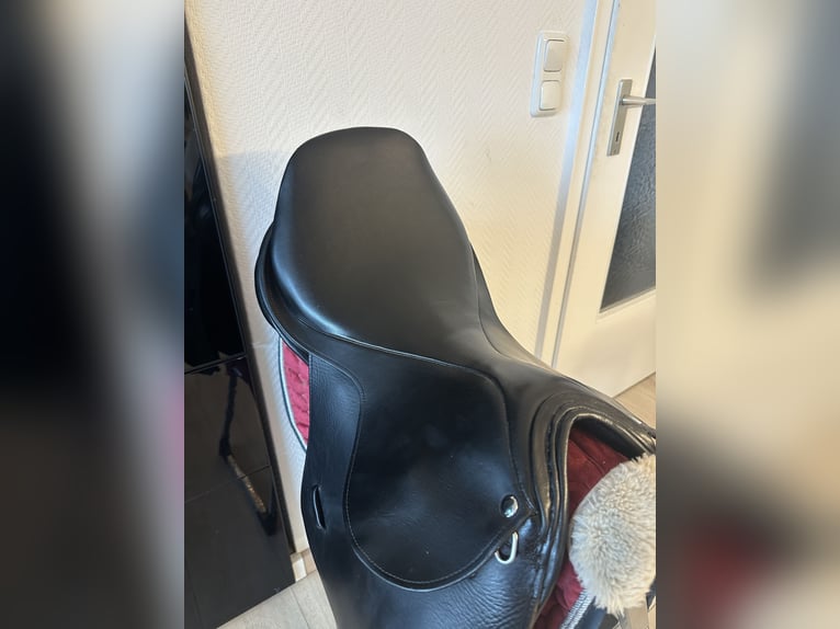Sommer Springsattel Meteor Reitsattel Top Zustand 17 Zoll