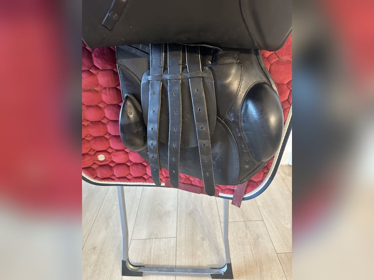 Sommer Springsattel Meteor Reitsattel Top Zustand 17 Zoll