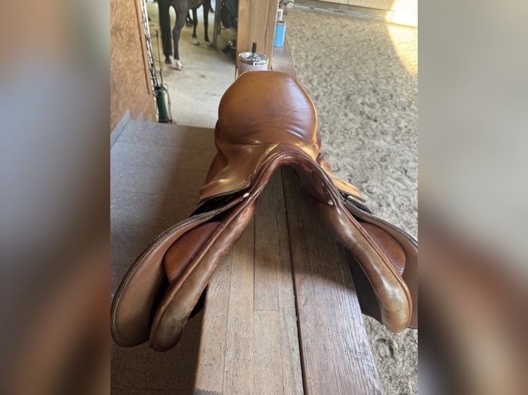 Springsattel 17,5 Zoll Cognac