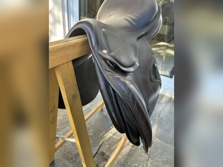 Springsattel Amerigo DJ