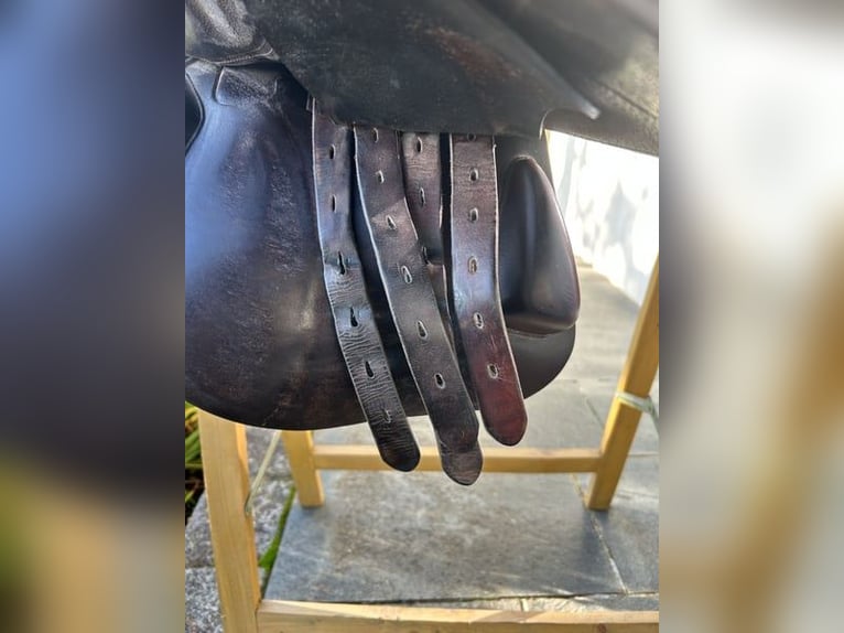 Springsattel Amerigo DJ