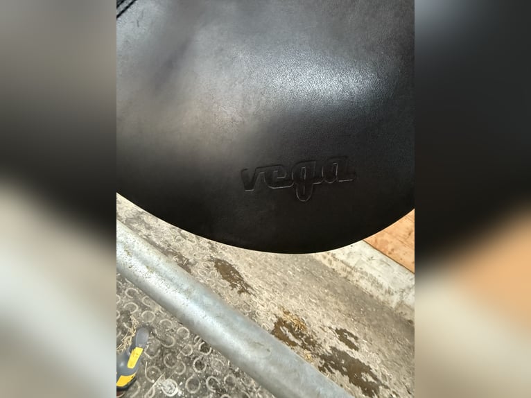 Springsattel Amerigo Vega 17 Zoll