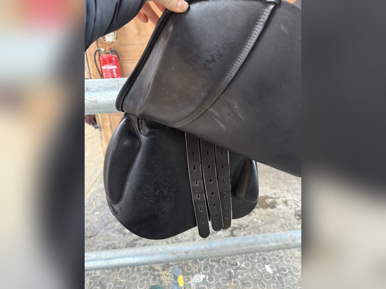 Springsattel Amerigo Vega 17 Zoll