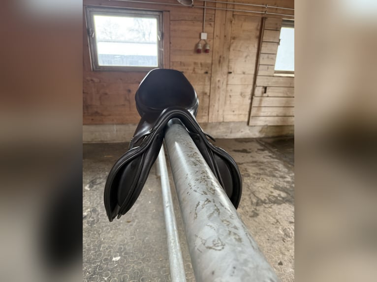 Springsattel Amerigo Vega 17 Zoll