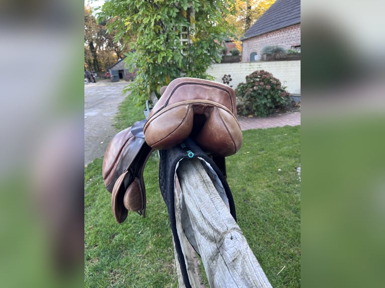 Springsattel Avantgarde