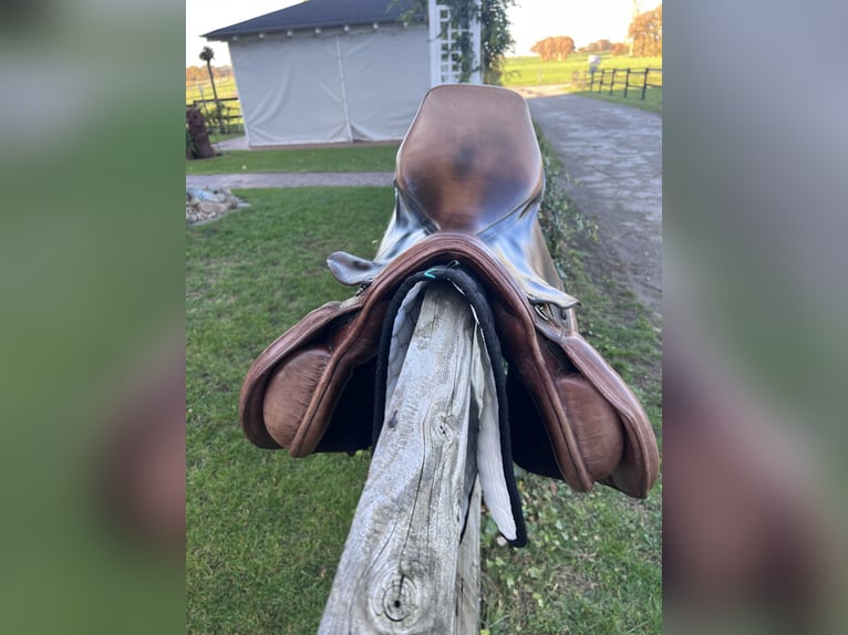 Springsattel Avantgarde