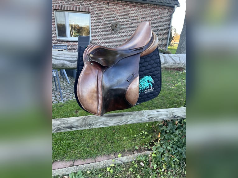 Springsattel Avantgarde