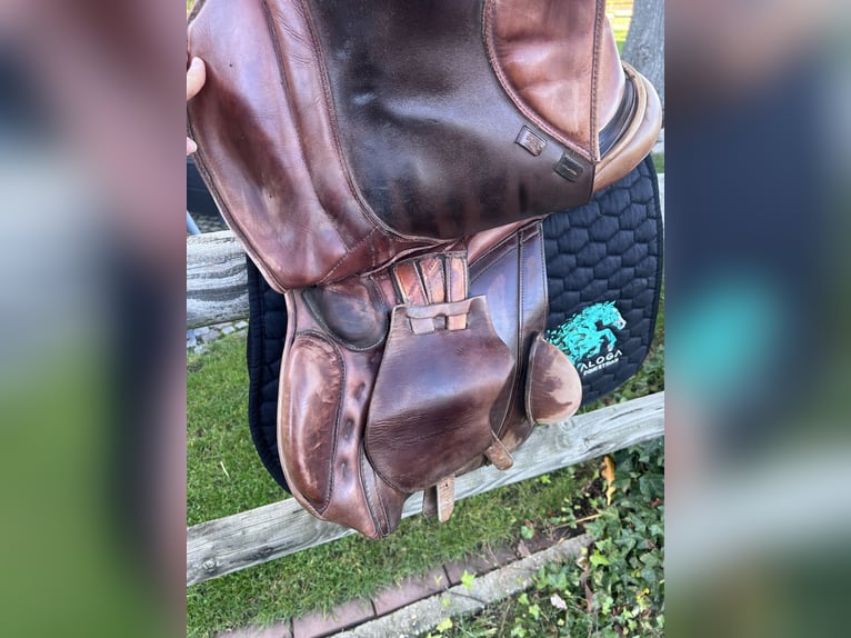 Springsattel Avantgarde