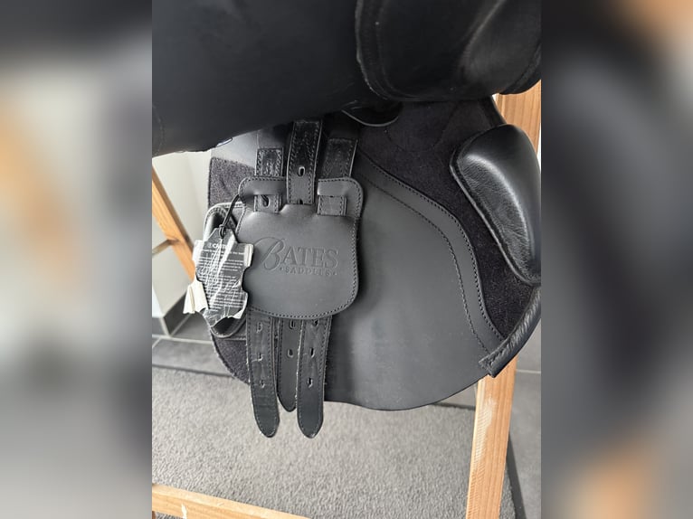 Springsattel Bates Elevation +