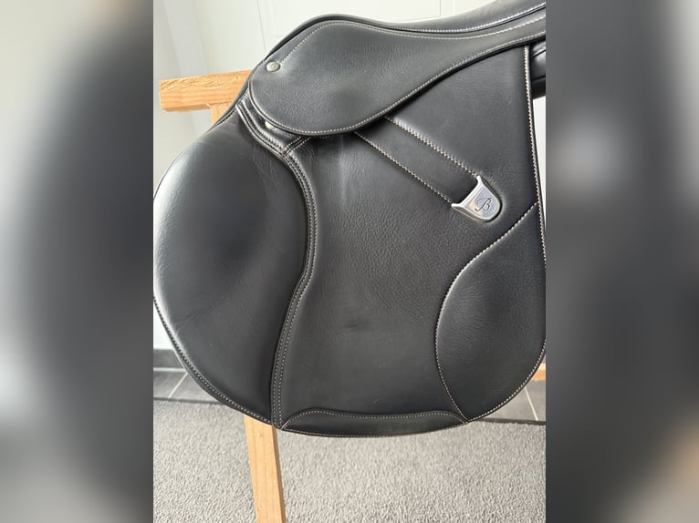 Springsattel Bates Elevation +