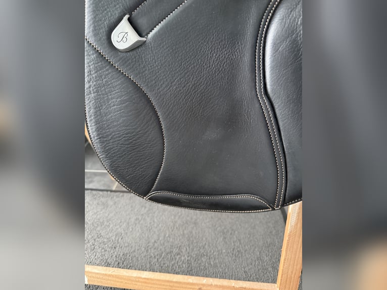 Springsattel Bates Elevation +