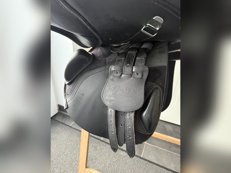 Springsattel Bates Elevation +