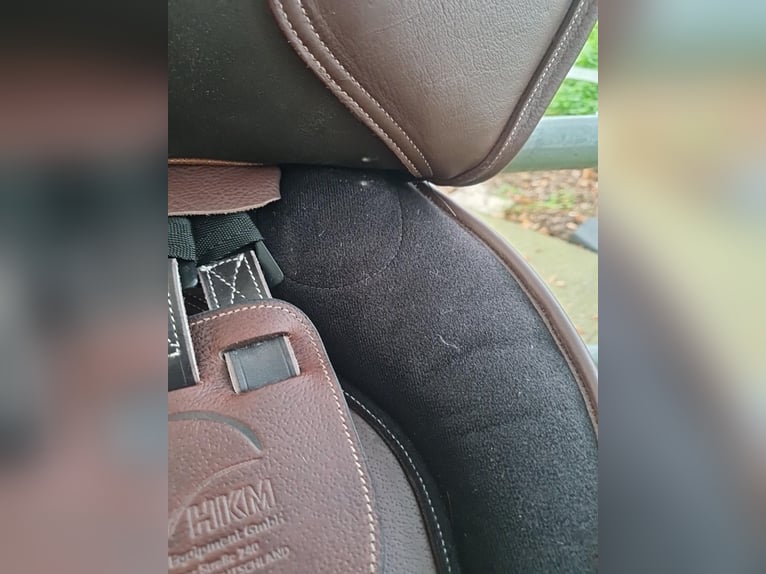 Springsattel Braun Neu 18 Zoll springpferd reiten