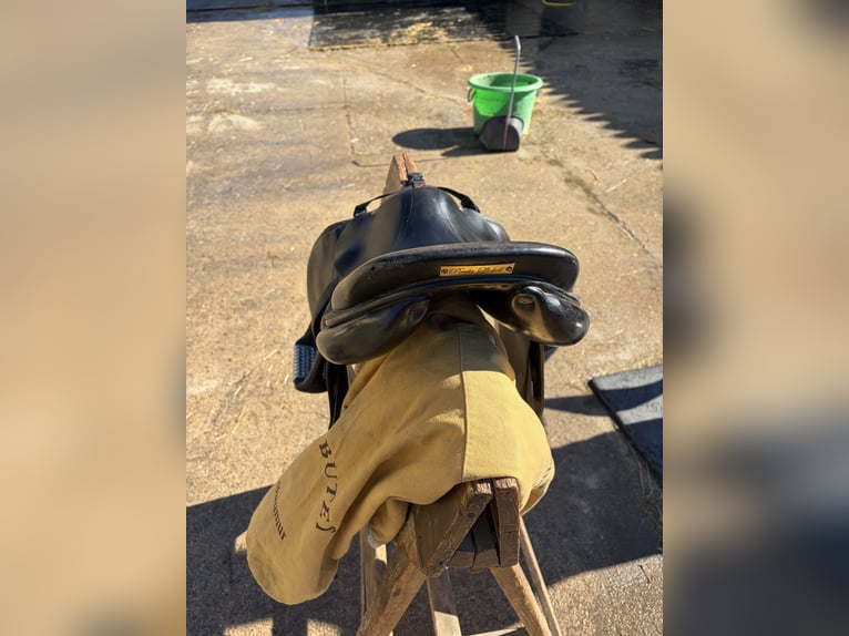 Springsattel Butet Sellier 17.5