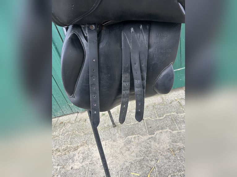 Springsattel Childeric 17,5 Zoll