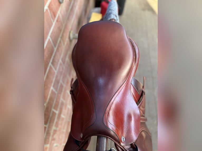 Springsattel CWD Close Contact