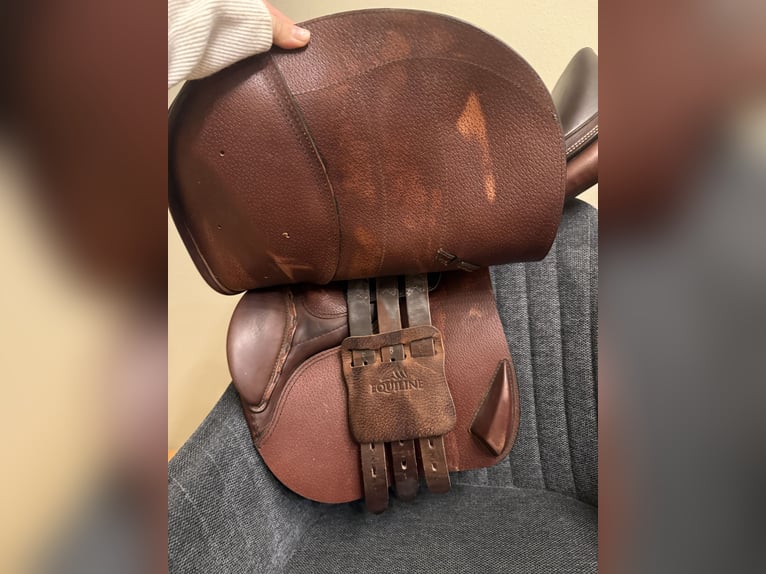 Springsattel Equiline