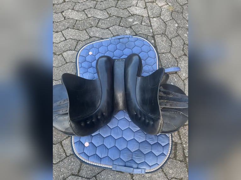 Springsattel Euroriding Remus 16 Zoll 