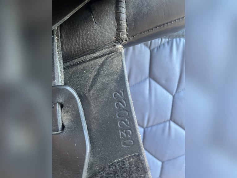 Springsattel Euroriding Remus 16 Zoll 