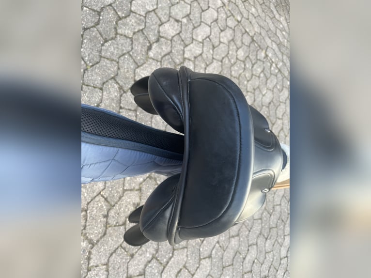 Springsattel Euroriding Remus 16 Zoll 