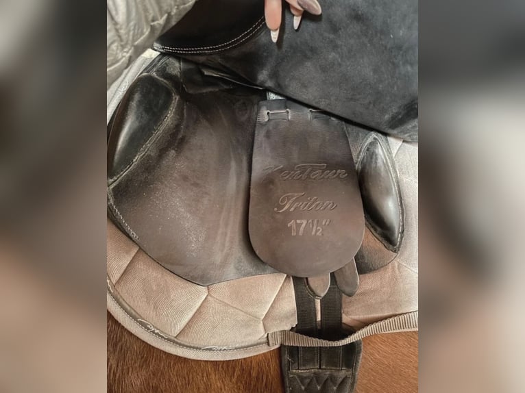 Springsattel Kentaur Triton