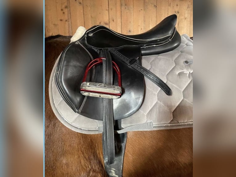 Springsattel Kentaur Triton