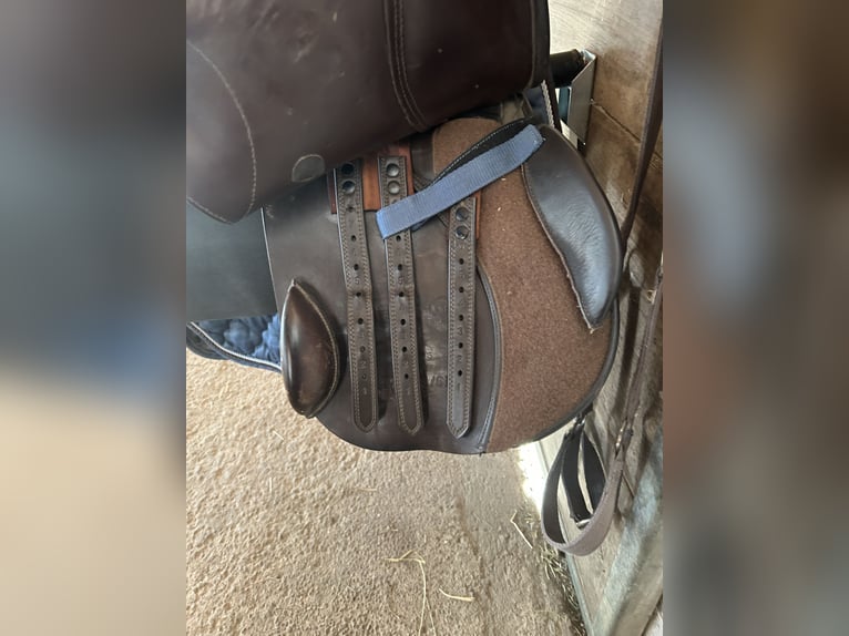 Springsattel Kieffer Le Mans