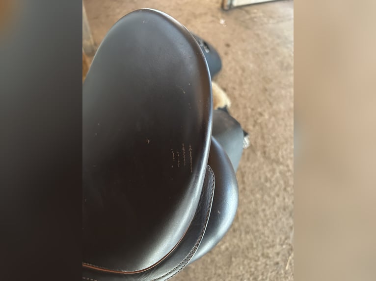 Springsattel Kieffer Le Mans