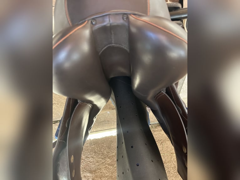 Springsattel Kieffer Le Mans