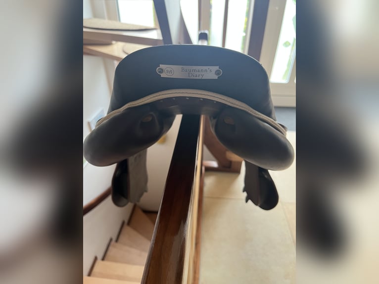 Springsattel Meyer 17 Zoll, 32er Kammer