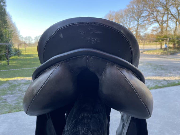 Springsattel mit weiter Kammer (ähnlich Kieffer Norbert Koof)