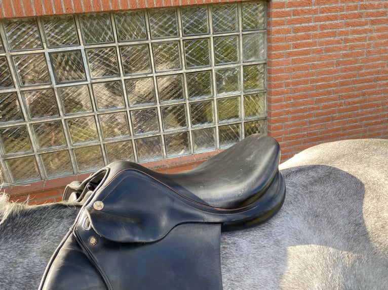 Springsattel Prestige 17 Zoll