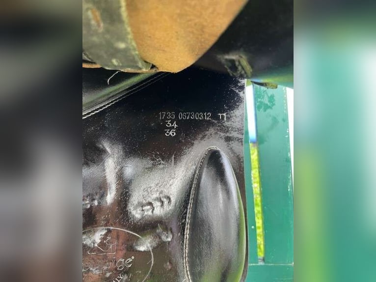 Springsattel Prestige Venezia