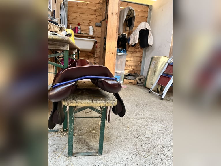 Springsattel-rotbraun