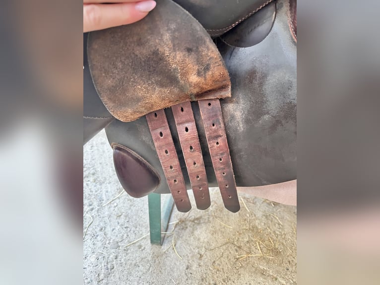 Springsattel-rotbraun