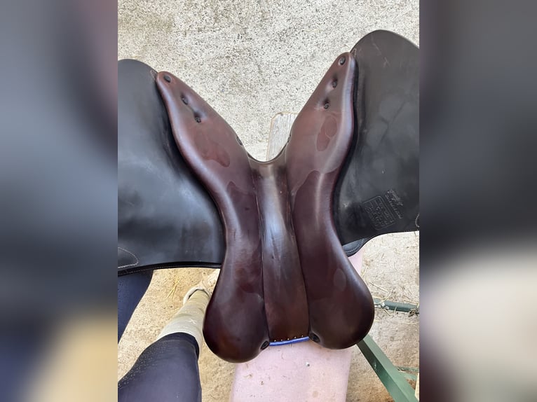 Springsattel-rotbraun