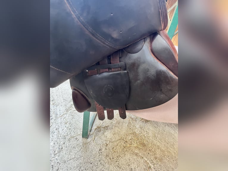 Springsattel-rotbraun