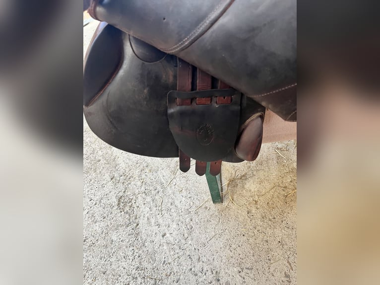 Springsattel-rotbraun