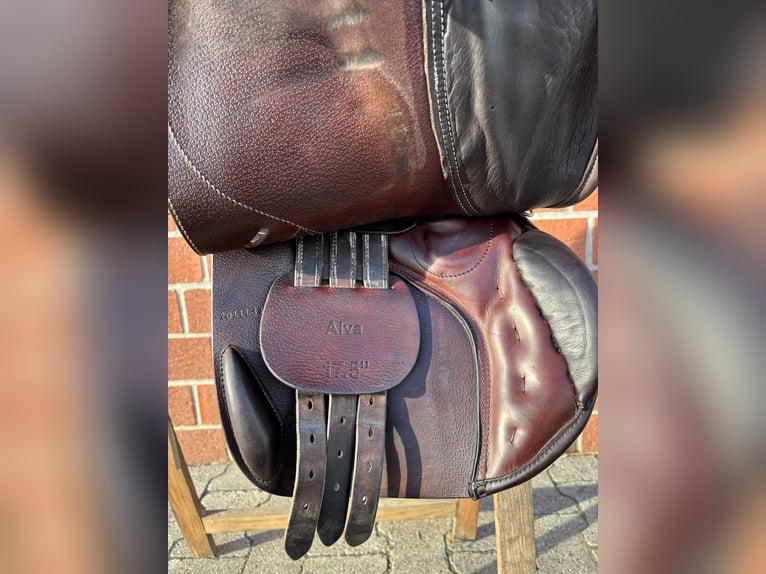 Springsattel Seabis Alva